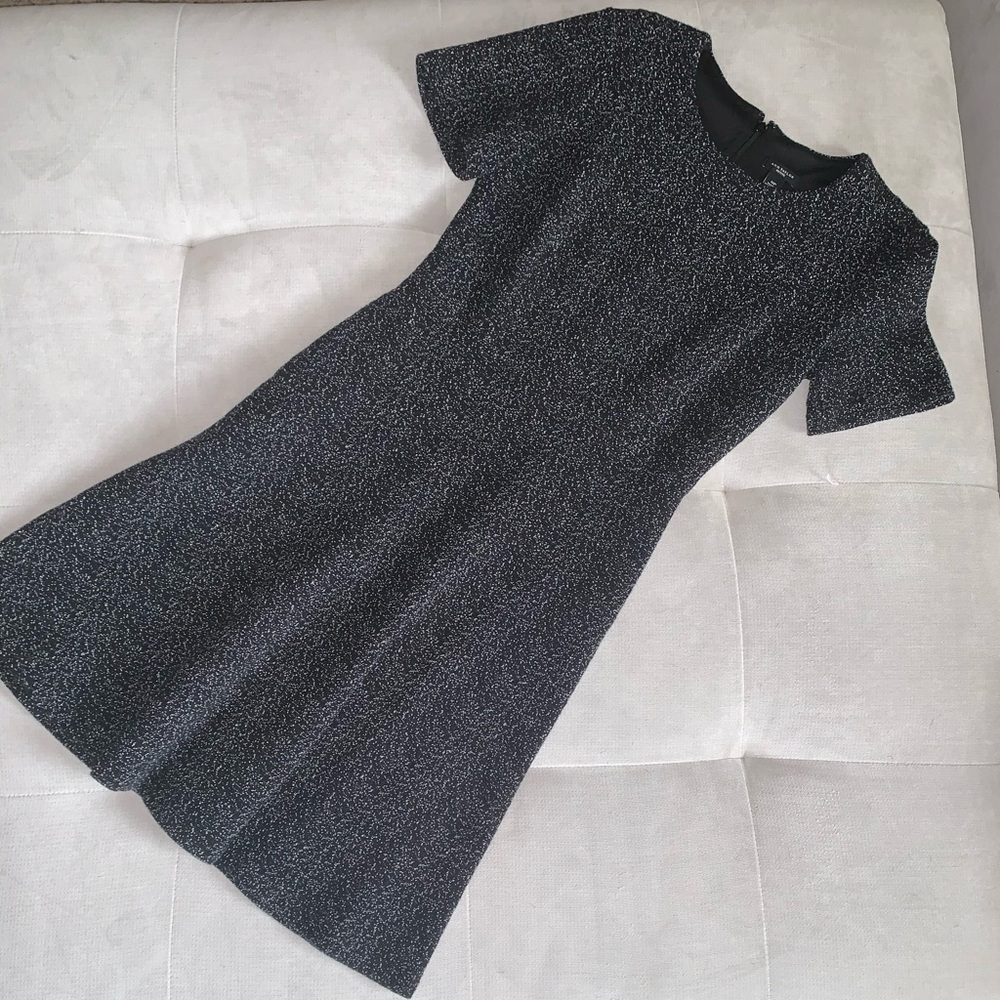 Ann Taylor petite dress